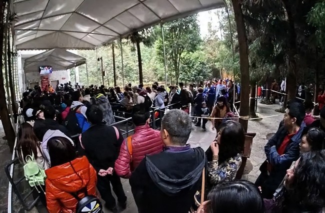 榮昌政府食堂廚師砍鹵鵝砍得手起泡 游客爆滿(mǎn)引發(fā)廚房“戰(zhàn)場(chǎng)”