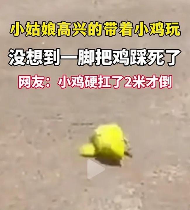 女孩帶小雞玩時(shí)意外把小雞踩在腳下 小雞堅(jiān)強(qiáng)跑兩米終倒下
