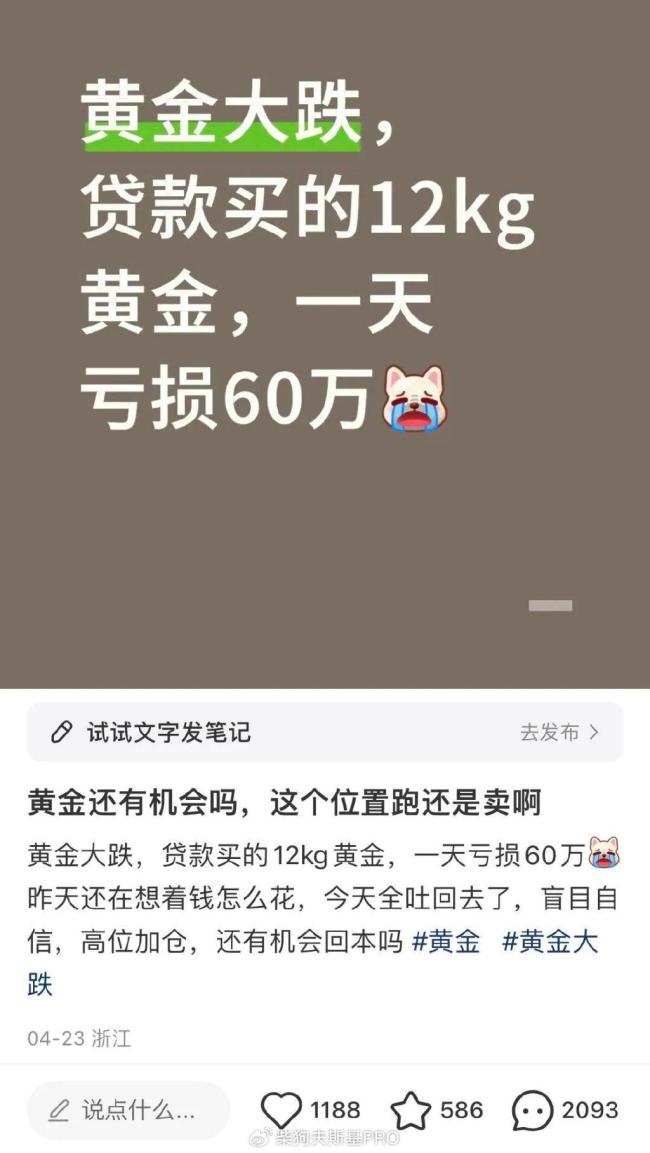 男子月薪3000元借貸60萬炒金 黃金夢碎負(fù)債累累