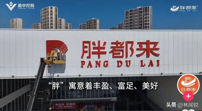 媒體人：“胖都來”不是一個人在山寨 明星站臺引發(fā)爭議
