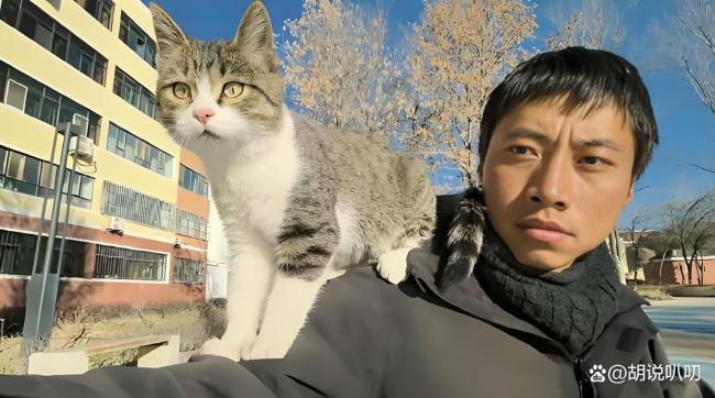 網紅貓 懸賞擊殺 非自然死亡疑云