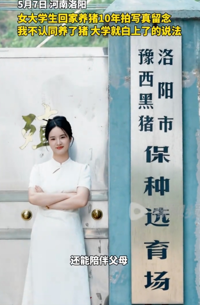 女孩穿旗袍在養(yǎng)豬場(chǎng)拍寫真