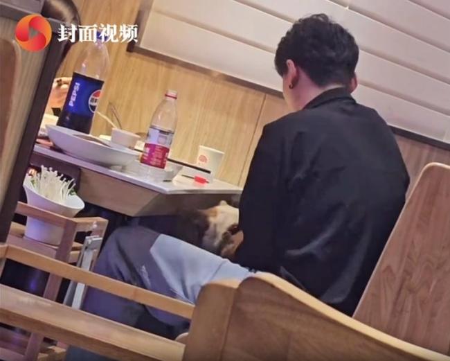 一火鍋店回應(yīng)顧客用餐具喂狗 未及時發(fā)現(xiàn)已處理