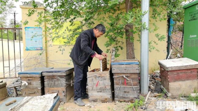 58歲養(yǎng)蜂人追花40年每年奔波2000公里 與花為伴的甜蜜旅程