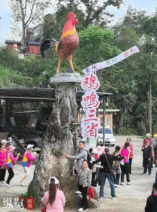 900人遠(yuǎn)程掃碼 農(nóng)家樂雞鳴聲徹夜不停 掃碼聞雞鳴走紅網(wǎng)絡(luò)