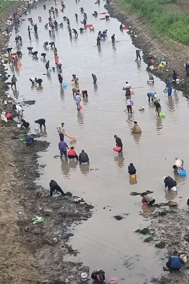 河南有人聚集河流摸金摸銅錢？假的 實(shí)為摸河蚌引發(fā)關(guān)注