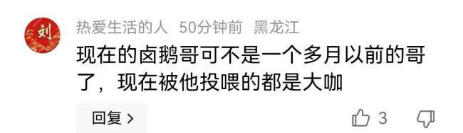 胡海泉被鹵鵝哥投喂香出表情包 演唱會現(xiàn)場成熱議焦點(diǎn)