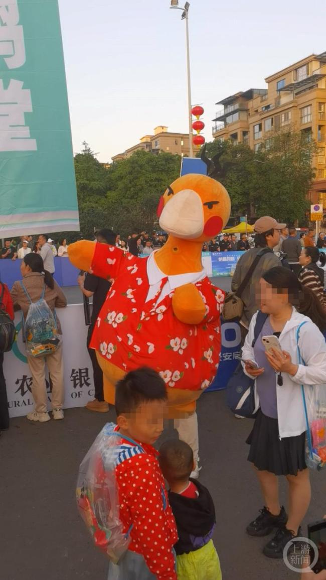 博主跑完半馬問鹵鵝哥為什么不投喂 鹵鵝元素成亮點