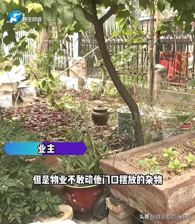 業(yè)主圈占公共停車位種菜放雜物 車位之爭引發(fā)小區(qū)矛盾