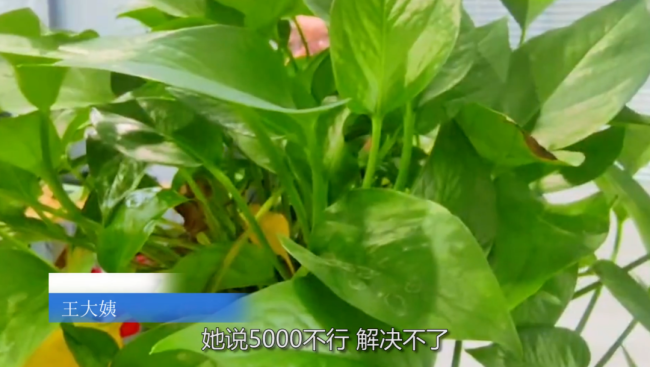 75歲大媽怒吼：抓錯了我賠 智擒騙子顯身手
