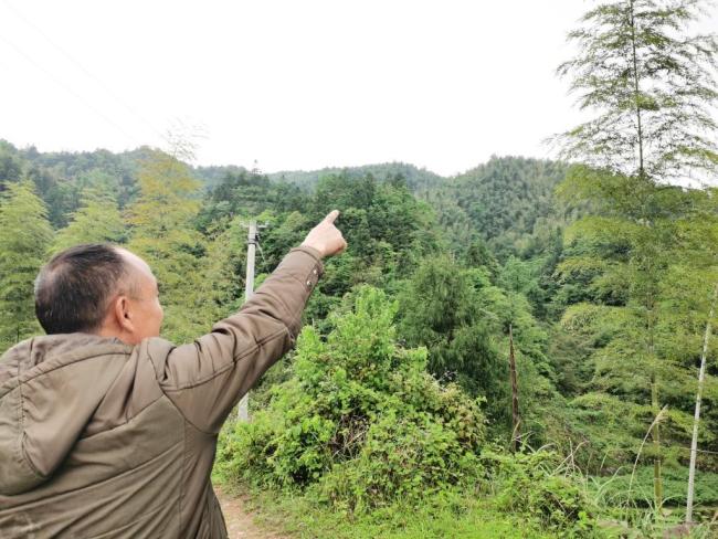 三名淘金客殞命雪峰山 非法采金再釀悲劇