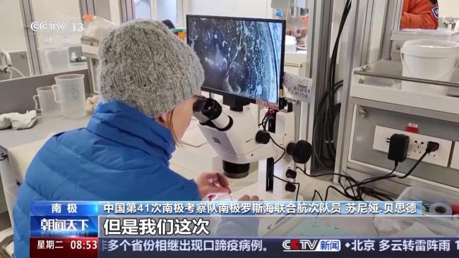 中國南極科考有了新發(fā)現(xiàn) 海冰與生態(tài)系統(tǒng)揭秘