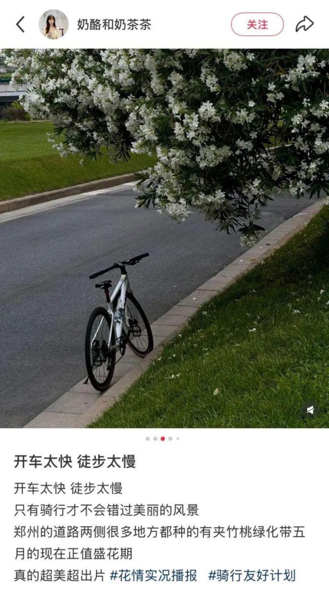 夾竹桃全株有毒千萬別亂碰 美麗背后的危險(xiǎn)