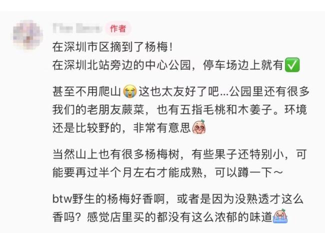 官方回應(yīng)深圳北站可以摘楊梅