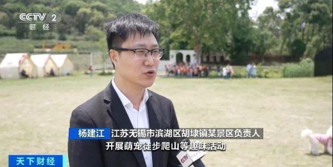 毛孩子也能坐公交了 寵物友好公交線受歡迎