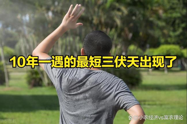 10年一遇最短三伏天僅30天，今夏真的會熱哭嗎,？