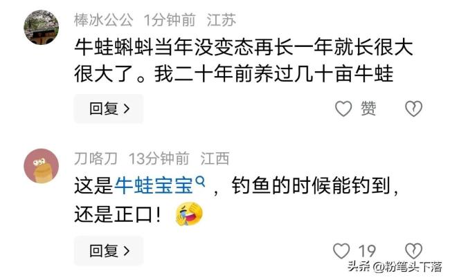 貴陽網(wǎng)友河中捕獲巨型蝌蚪 超大蝌蚪引發(fā)熱議