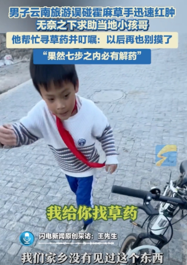 男子旅游誤碰霍麻草手迅速紅腫
