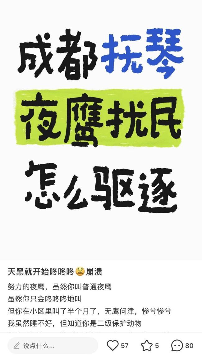 成都多地深夜驚現(xiàn)神秘“噠噠”聲 夜鷹唱情歌擾民