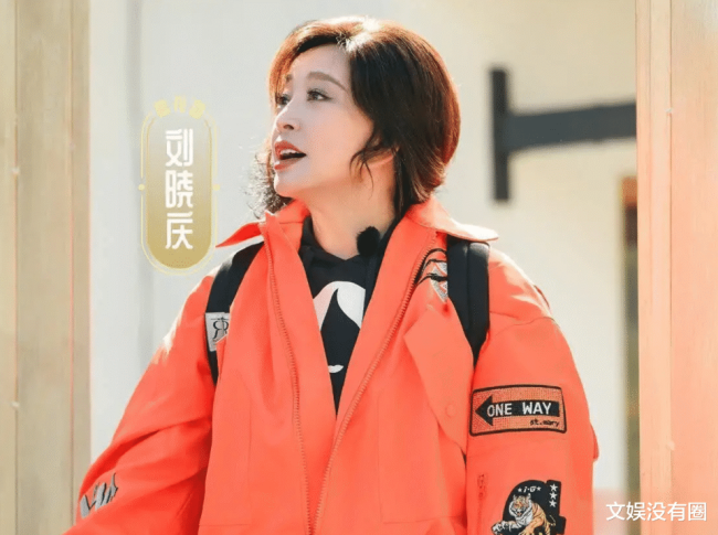 劉曉慶陷逃稅漏稅風(fēng)波 新劇還能播嗎 舊事重演再引熱議