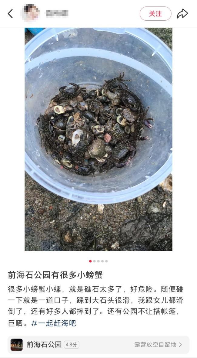 官方提醒前海石公園螃蟹別吃 不建議食用