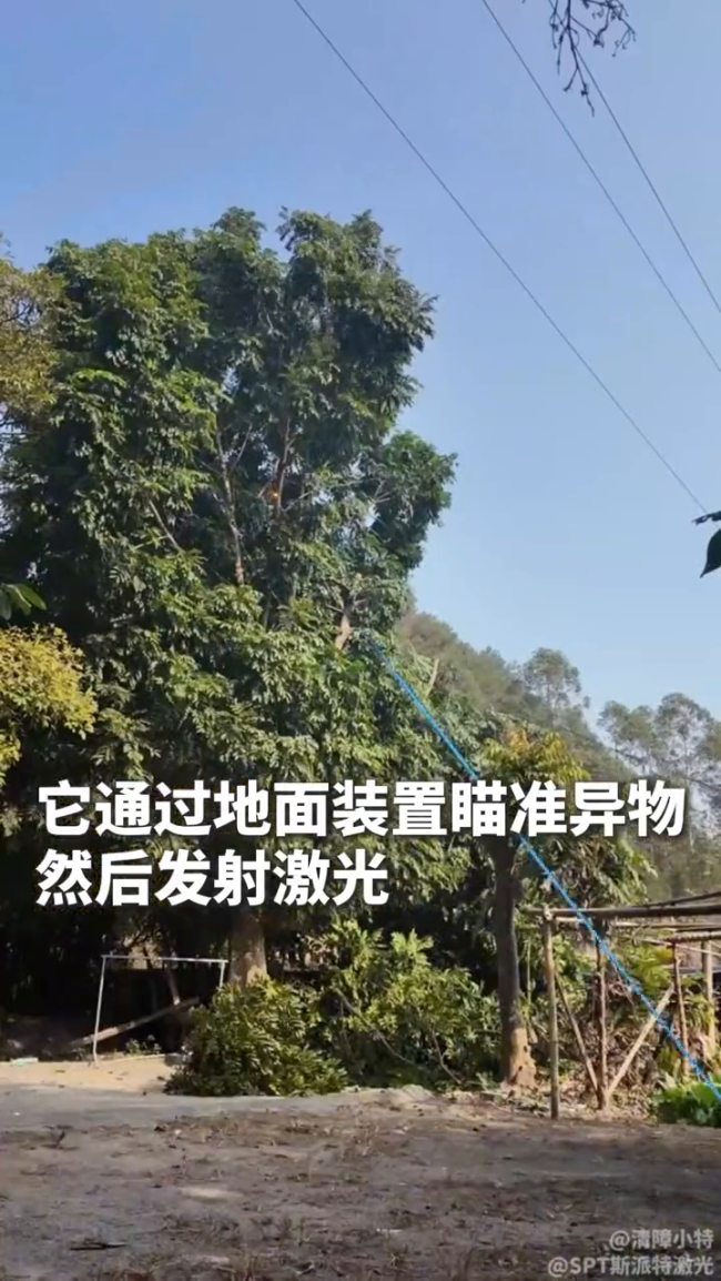 廣東一公司用激光清障儀修剪樹木：網(wǎng)友：這到底是六脈神劍還是一陽指？
