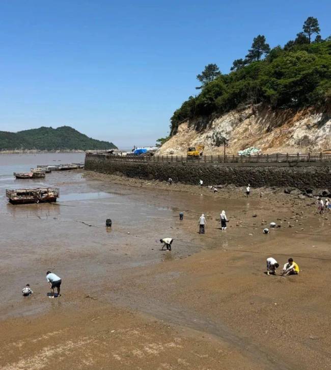 浙江寧波擠滿提前退休的中產(chǎn) 寧波正成為年輕人的烏托邦