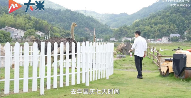 38歲鄉(xiāng)村CEO上崗一年后現(xiàn)狀 村子熱鬧了起來