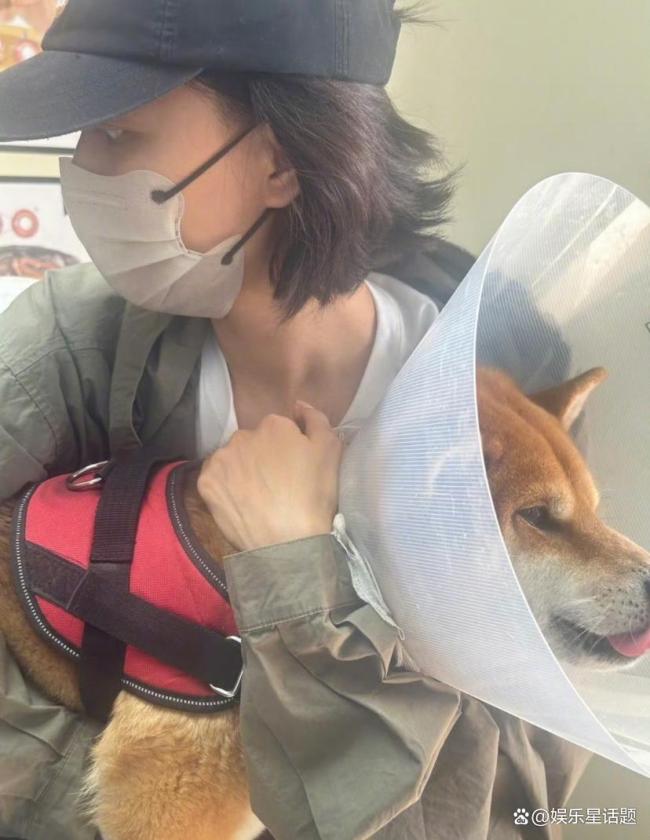 王珞丹分享瓢哥近况 抗癌姐妹花积极恢复中