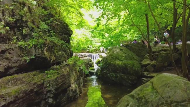河北多家景區(qū)推出旅游日優(yōu)惠 免票半價享不停