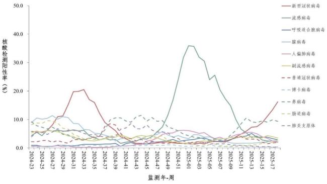 新冠陽性率升高 專家稱5月下旬達峰