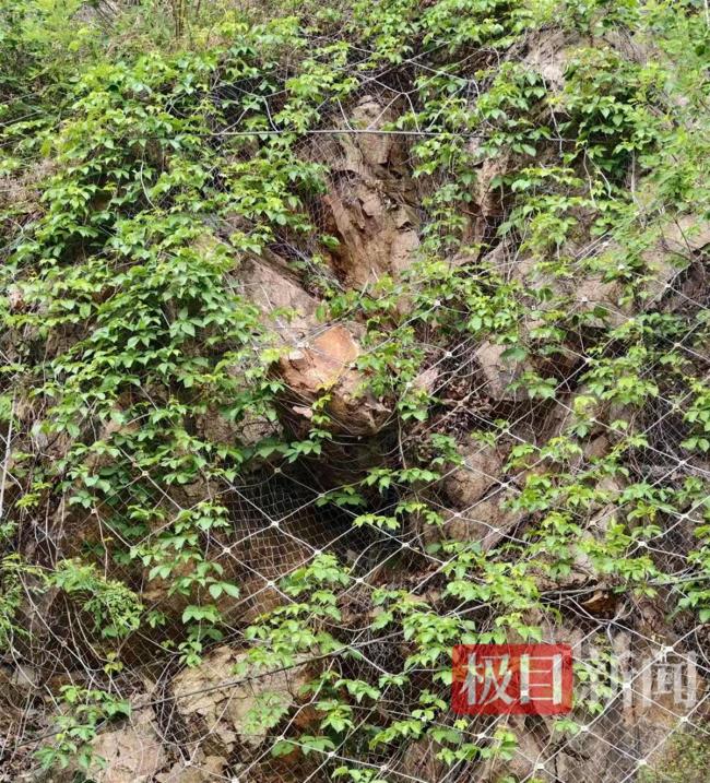 男子被落石砸中身亡 女兒不知爸爸已去世 家庭痛失頂梁柱