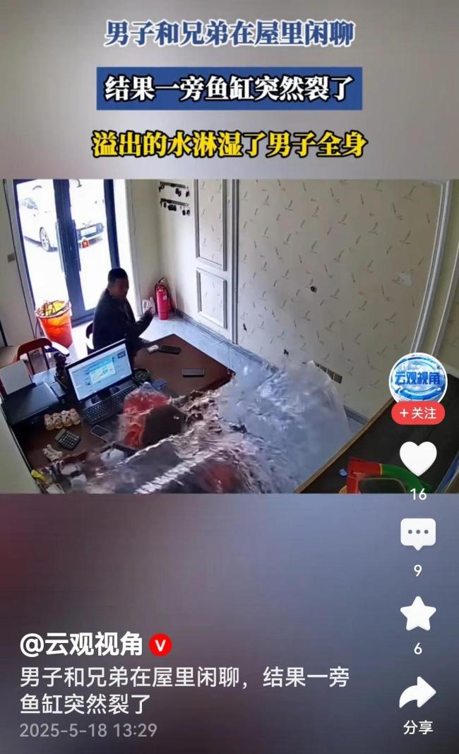 男子和兄弟閑聊魚缸突然裂了 濕身驚喜引發(fā)狼狽一幕