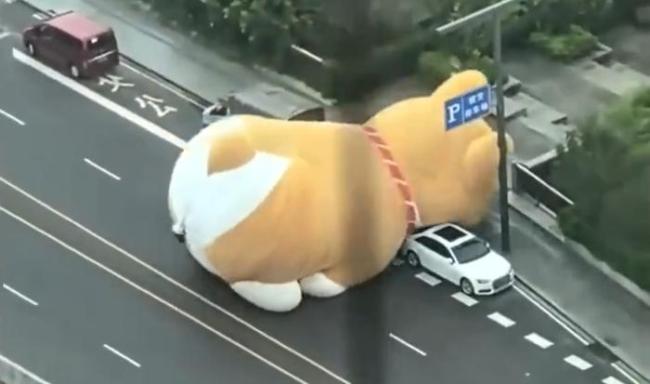 廣州一巨型充氣狗被吹上馬路