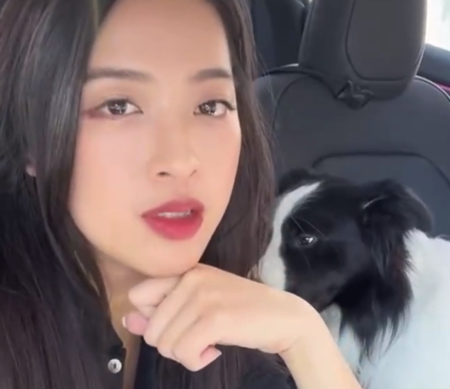網(wǎng)友吐槽美國寵物看病貴的離譜 去一次寵物醫(yī)院至少需要數(shù)百美金