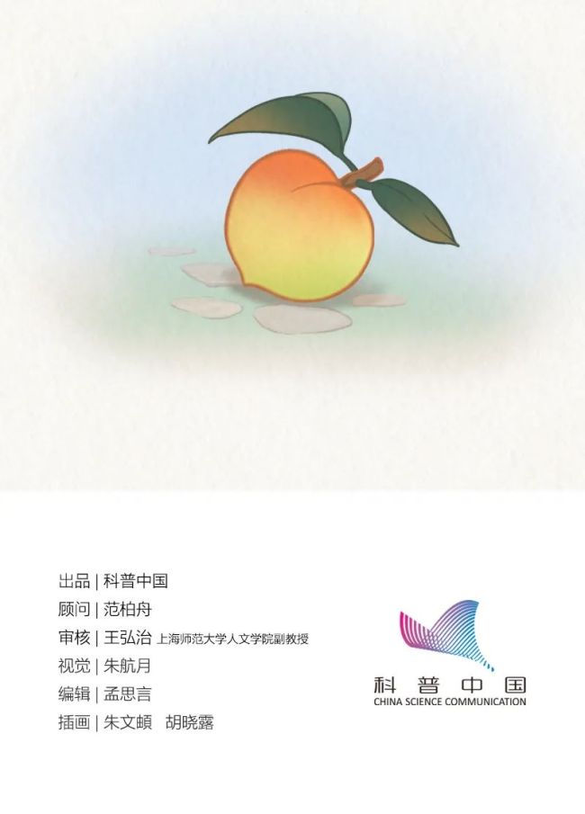 又悶又潮的“梅雨季”，究竟是怎么來的,？