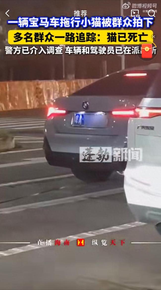 ?？诠不貞?yīng)車輛拖行小貓 警方已介入調(diào)查