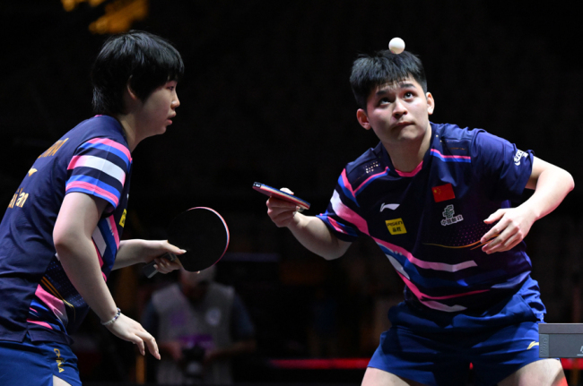 王楚欽孫穎莎vs松島輝空張本美和 中日對決一觸即發(fā)