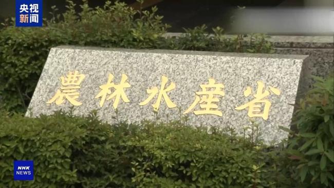 “米荒”迫使日本人改吃面條 米價(jià)飛漲引發(fā)社會(huì)動(dòng)蕩