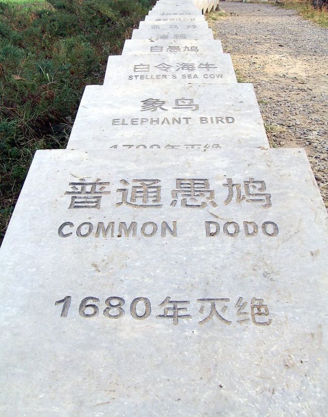 別再給動(dòng)物施加“有毒”的愛了！李忠秋教授：投喂和放生都是好心辦壞事