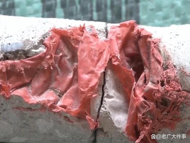 廣東一新房墻內(nèi)驚現(xiàn)食物殘?jiān)?墻體藏腐臭垃圾引發(fā)業(yè)主不滿