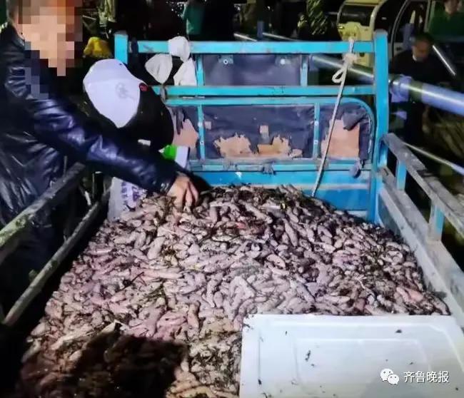 現(xiàn)場：蝦蟹被沖上岸 有游客撿一百多斤,！