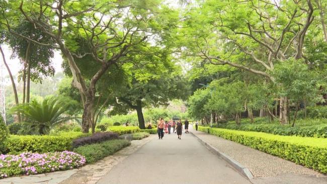 廈門一公園驚現(xiàn)兩條大蛇纏斗 爭(zhēng)奪領(lǐng)地激戰(zhàn)上演