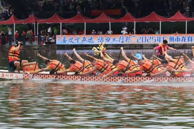 在廣州為何房東癡迷扒龍船,，江河湖海陸續(xù)上演“飆船”大片