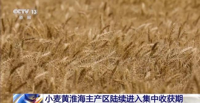 全國夏糧搶收進行時 1700萬台套農機具戰“三夏”