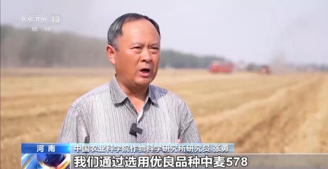 全國(guó)夏糧搶收進(jìn)行時(shí) 1700萬臺(tái)套農(nóng)機(jī)具戰(zhàn)“三夏”