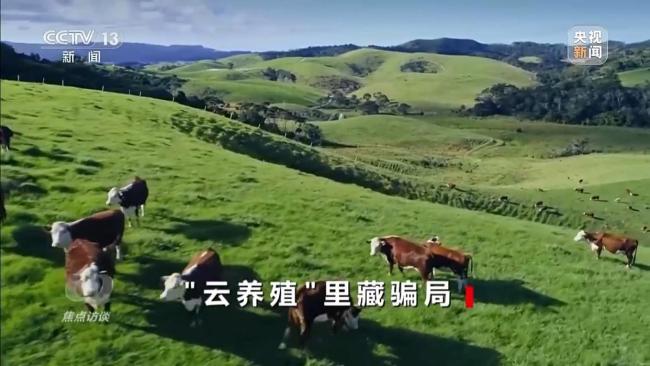 已有數(shù)萬人被騙 起底“云養(yǎng)殖”里的騙局