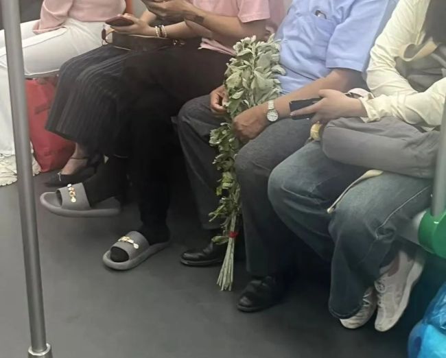 合肥艾草大量上市 端午習俗帶動銷售熱潮