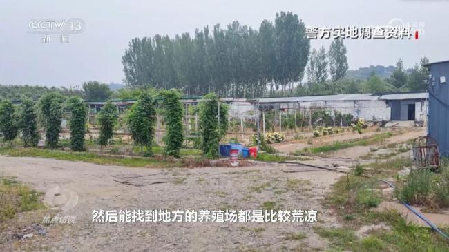 央視曝光云養(yǎng)殖騙局黑幕 高額返利陷阱