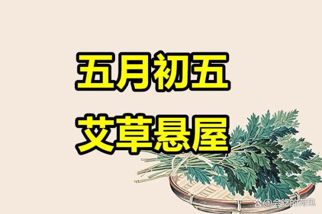 端午節(jié)的艾草能提前掛嗎,？端午節(jié)建議大家：1少用,，2少掛，3要忌,，4要做